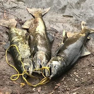 Meet your Posher, Tim